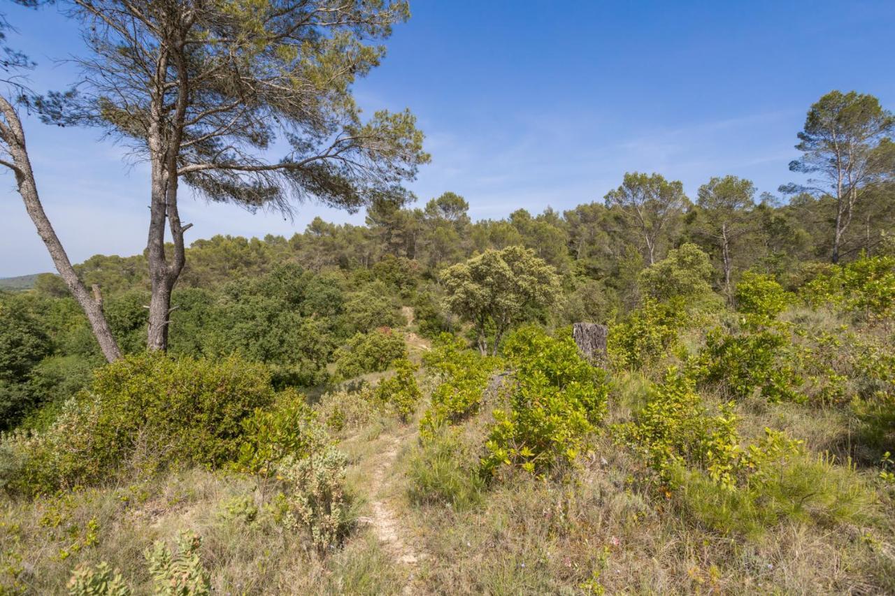 Petit Paradis Garrigue Villa Moulézan Exterior foto